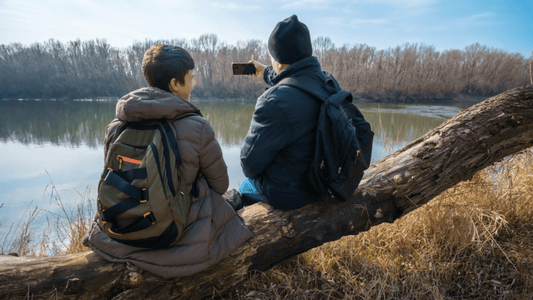 How Mushrooms Support Men's Health