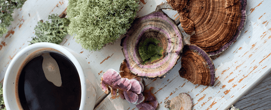 Mushrooms & Mental Health: How Adaptogens Manage Anxiety and Depression