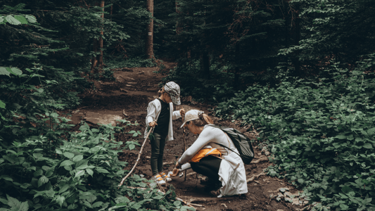 How Mushrooms Support Women's Health