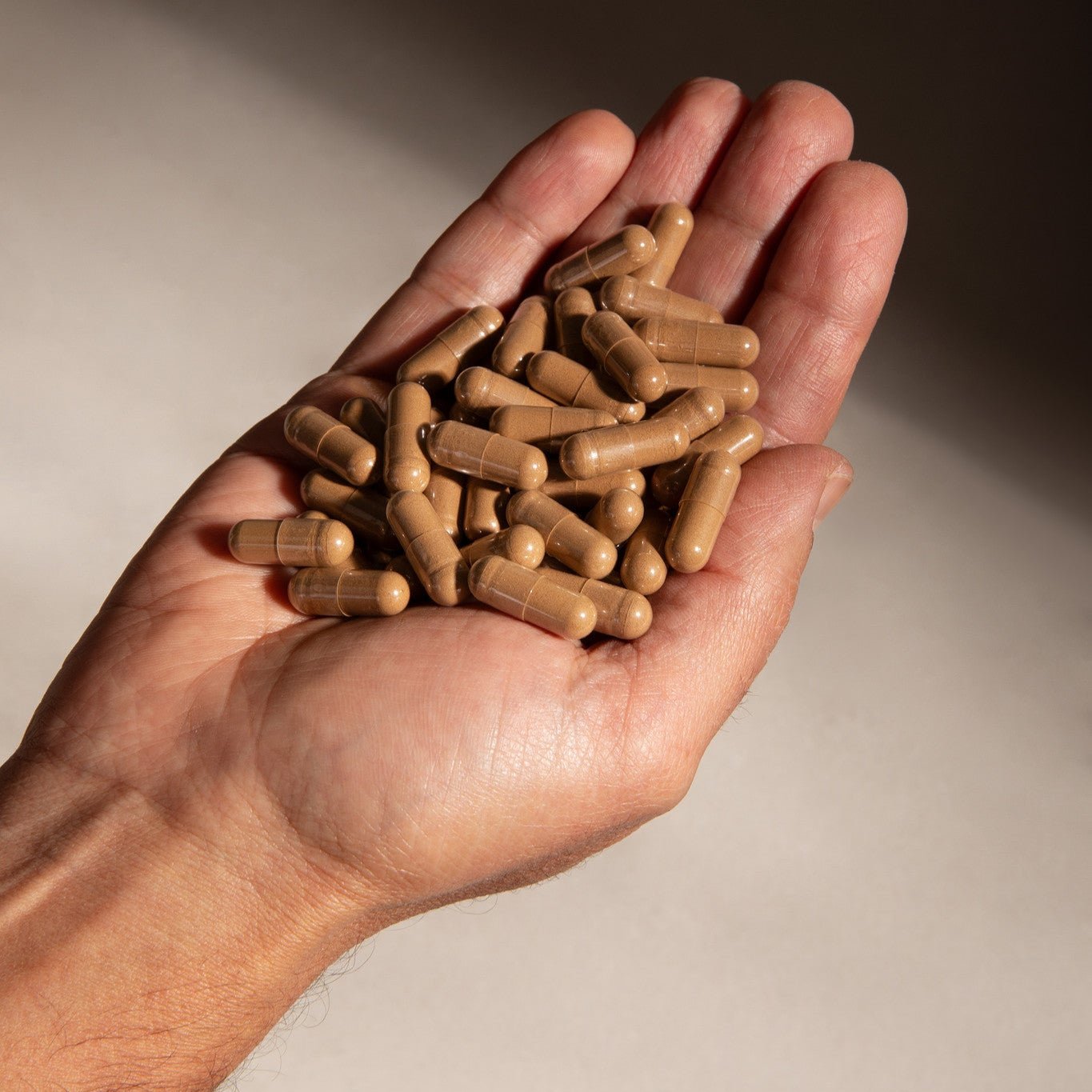 Sacred 7 Mushroom Extract Capsules