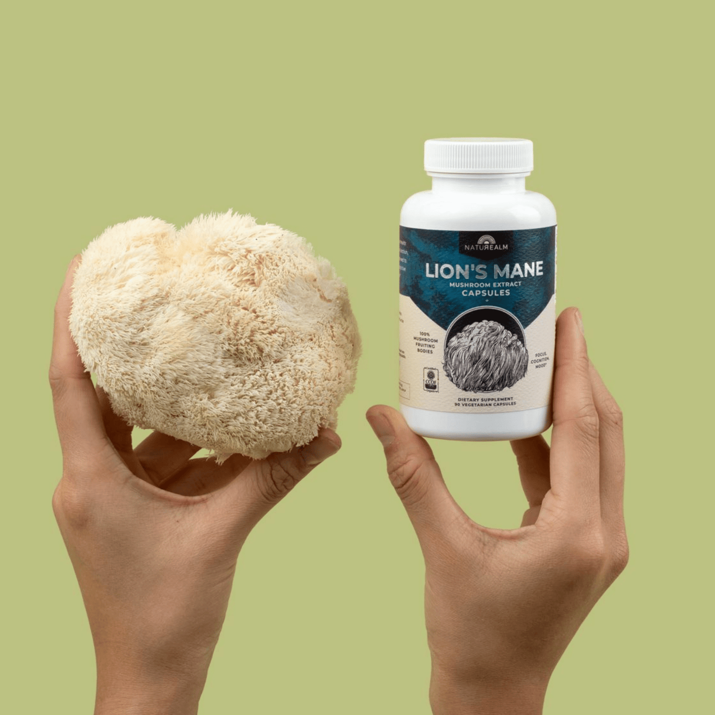 Lion's Mane Mushroom Extract Capsules