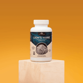 Lion's Mane Mushroom Extract Capsules