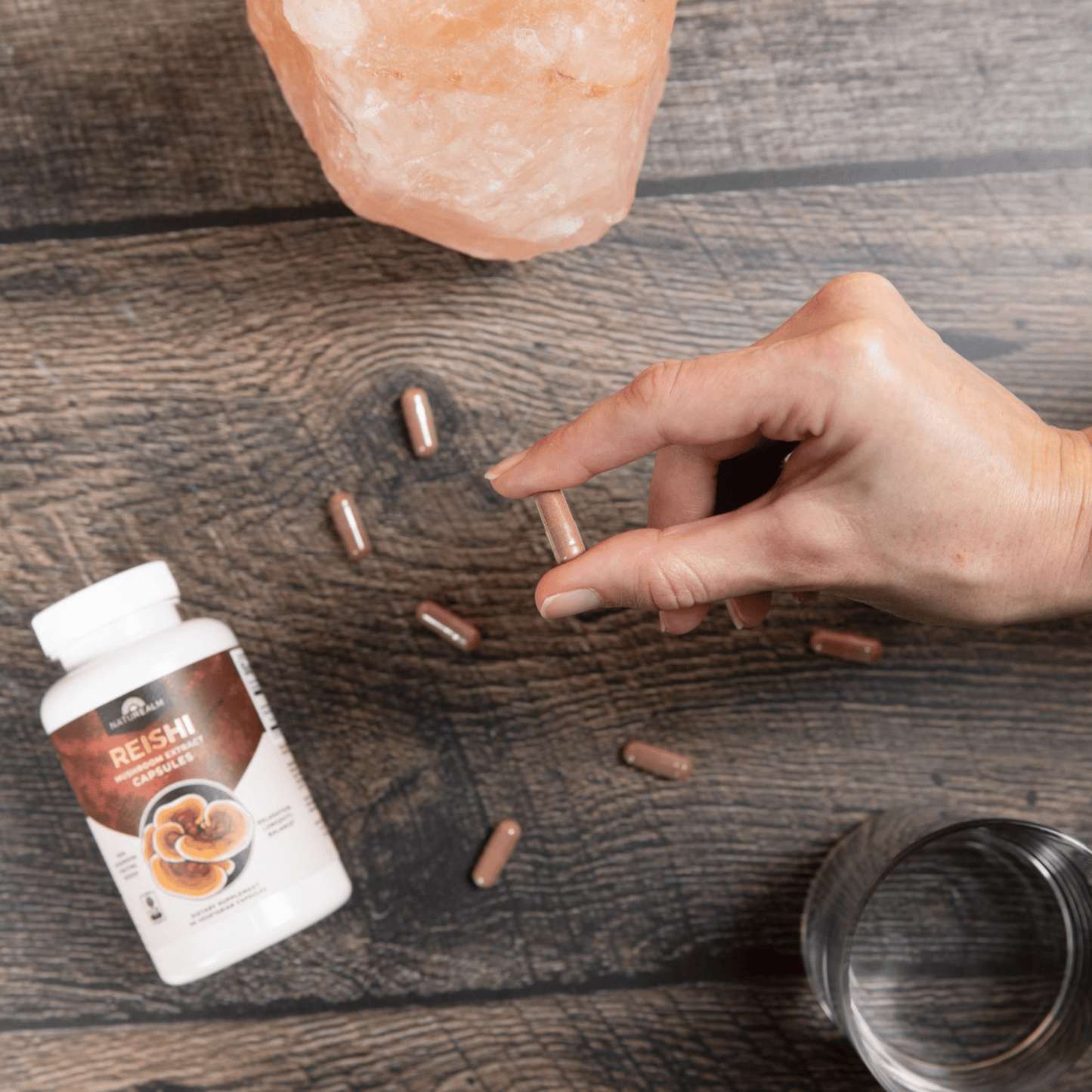 Reishi Mushroom Extract Capsules