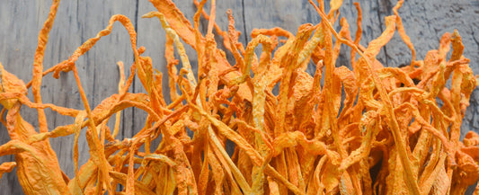 Maximize Your Cordyceps Supplements with This Dose Guide