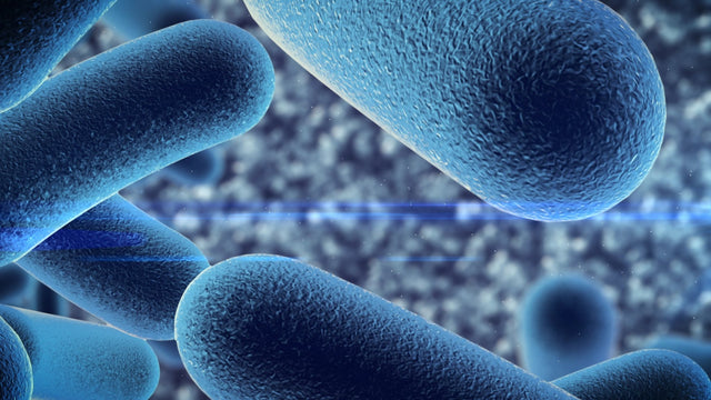 Can Supplementing With Probiotics Be Bad for You?