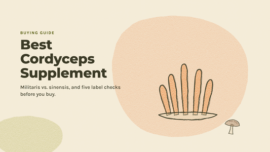 Sketchbook illustration of a cluster of bright orange club-shaped Cordyceps militaris mushrooms
