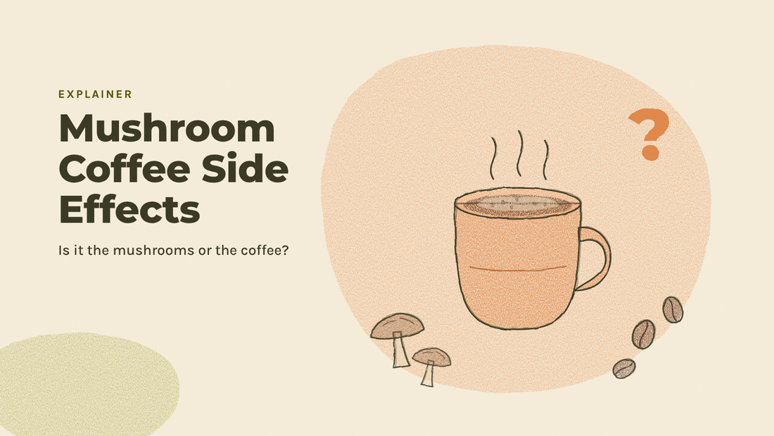Sketchbook illustration of a steaming mug beside coffee beans and two small mushrooms with an orange question mark