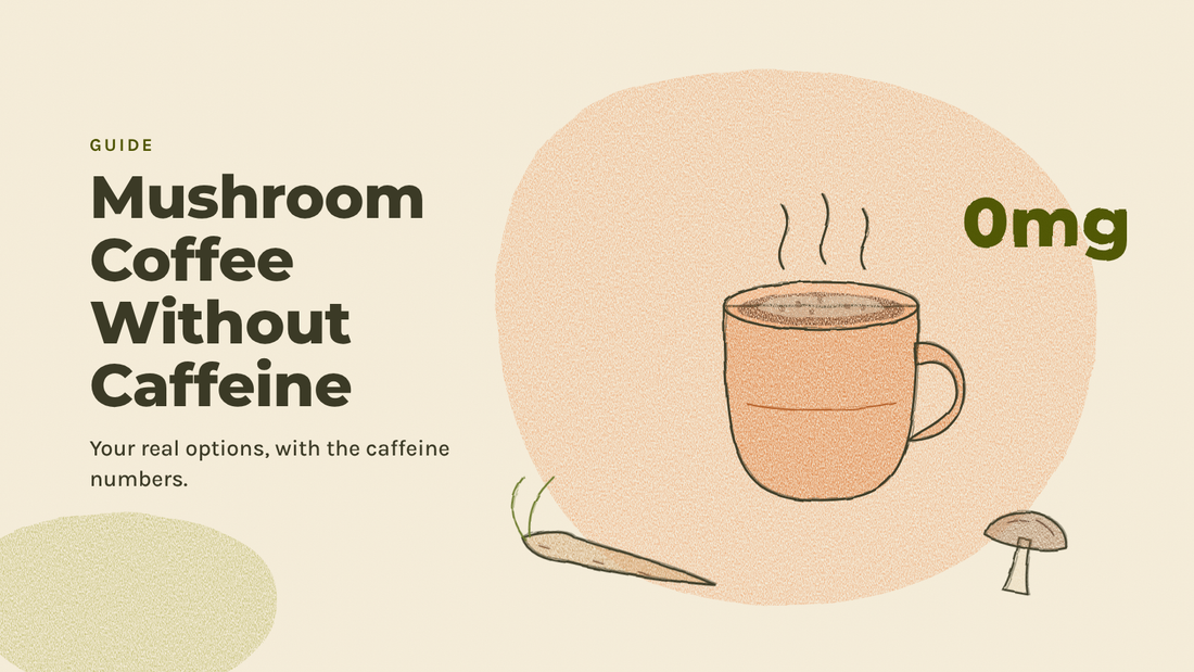 Sketchbook illustration of a steaming mug with a chicory root and a small mushroom, labeled 0mg
