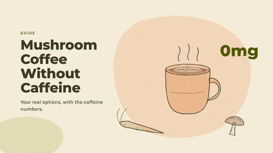 Sketchbook illustration of a steaming mug with a chicory root and a small mushroom, labeled 0mg