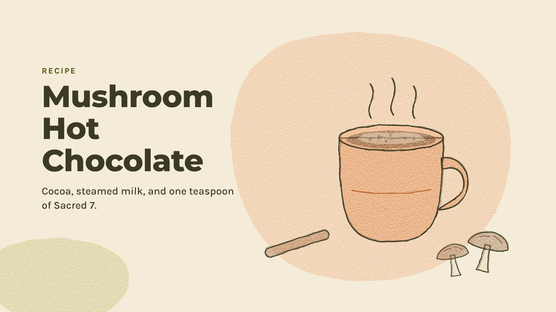 Sketchbook illustration of a steaming orange mug of hot chocolate with foam and cocoa dusting, a cinnamon stick, and two small mushrooms