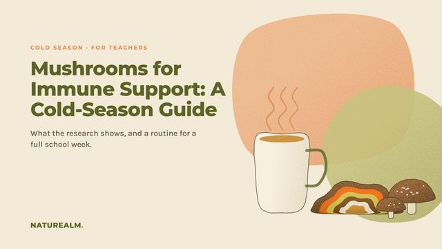 Colored-pencil sketch of a warm mug next to a striped Turkey Tail mushroom and two Shiitake mushrooms