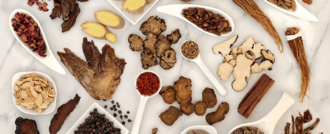 Why Mushrooms and Other Natural Remedies Are So Overlooked by Western Medicine