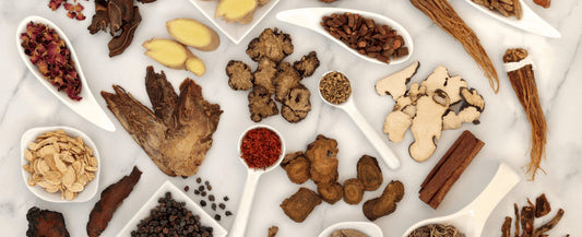 Why Mushrooms and Other Natural Remedies Are So Overlooked by Western Medicine