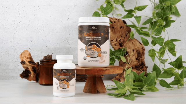 7 Reasons People Love Sacred 7 Mushroom Powder