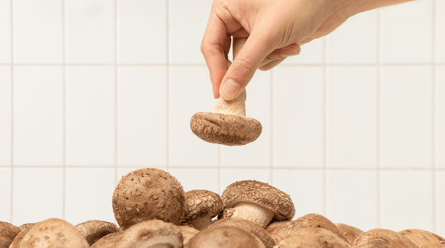 shiitake-mushrooms-anti-aging-health-hand-holding-above-pile-fresh