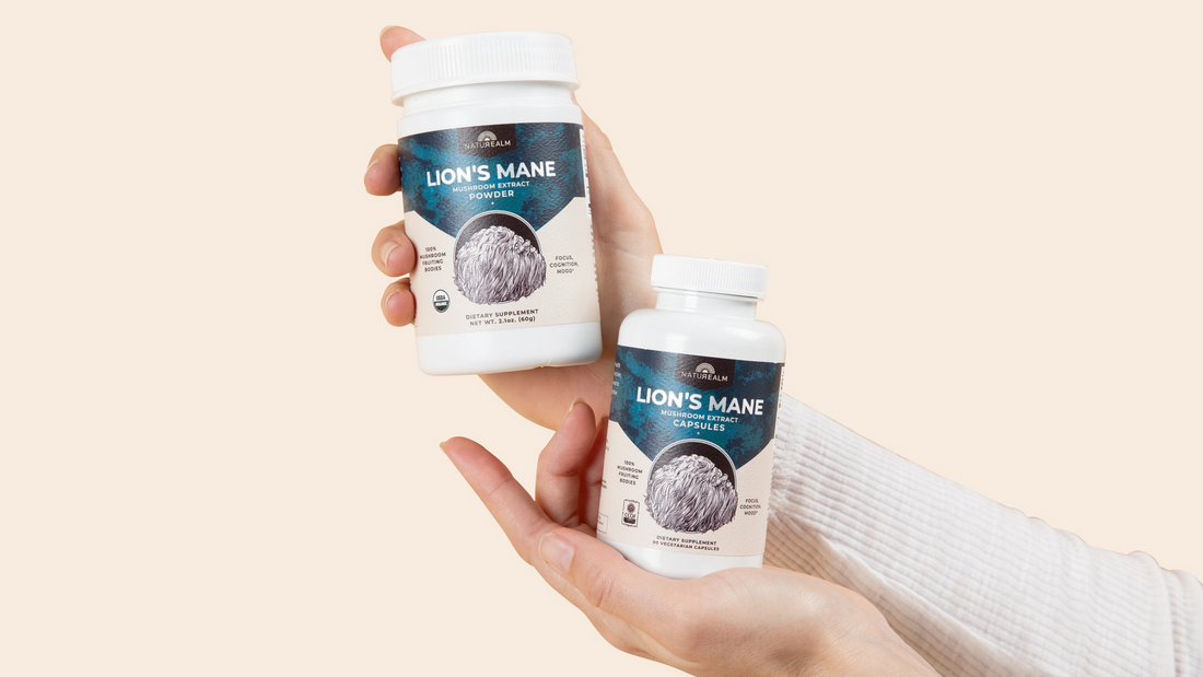 Hands holding Lion's Mane Extract Powder and Lion's Mane Extract Capsules