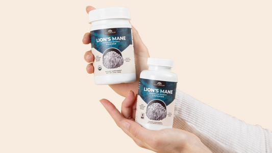 Hands holding Lion's Mane Extract Powder and Lion's Mane Extract Capsules