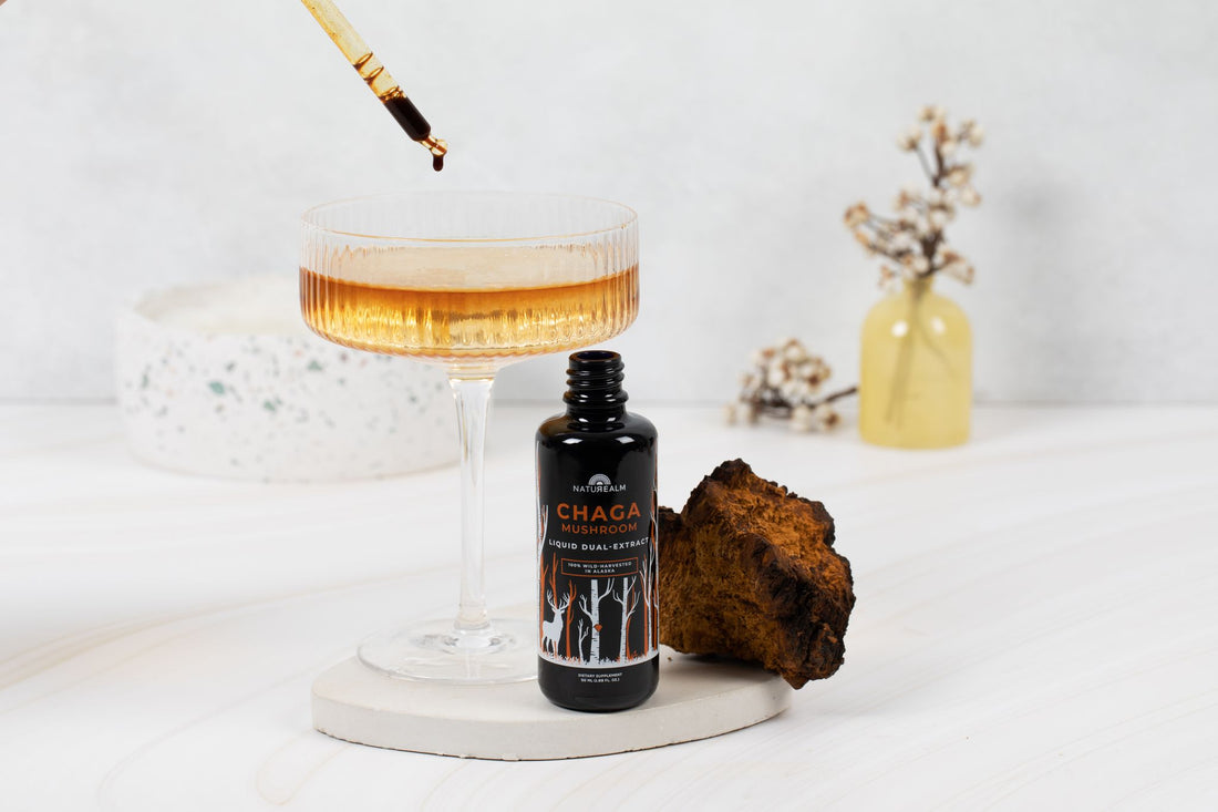 Chaga Mushroom Tincture dripping in a glass with chaga mushroom chunk