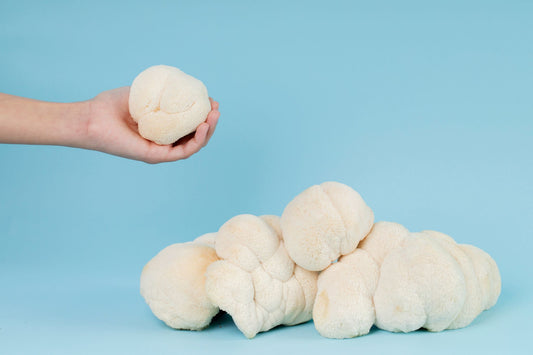 Are Lion's Mane Mushrooms Psychedelic?