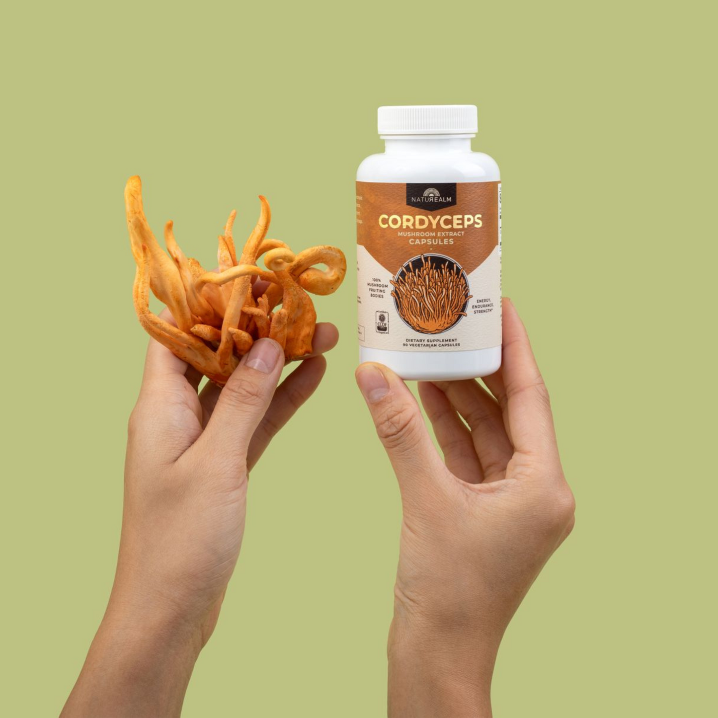 Cordyceps Mushroom Extract Capsules