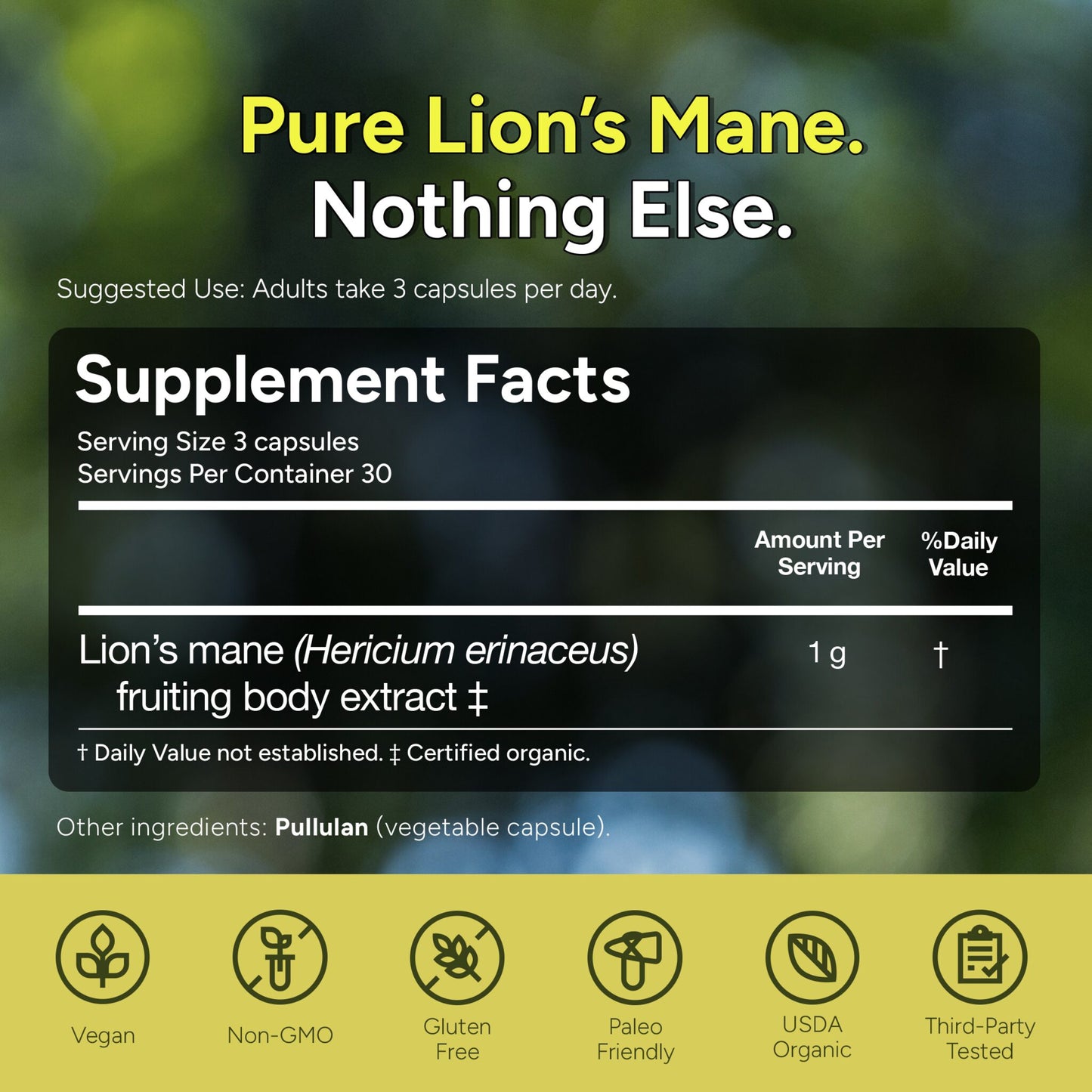 Lion's Mane Mushroom Extract Capsules
