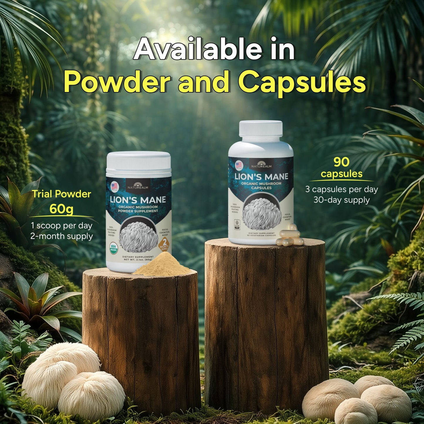 Lion's Mane Mushroom Extract Powder