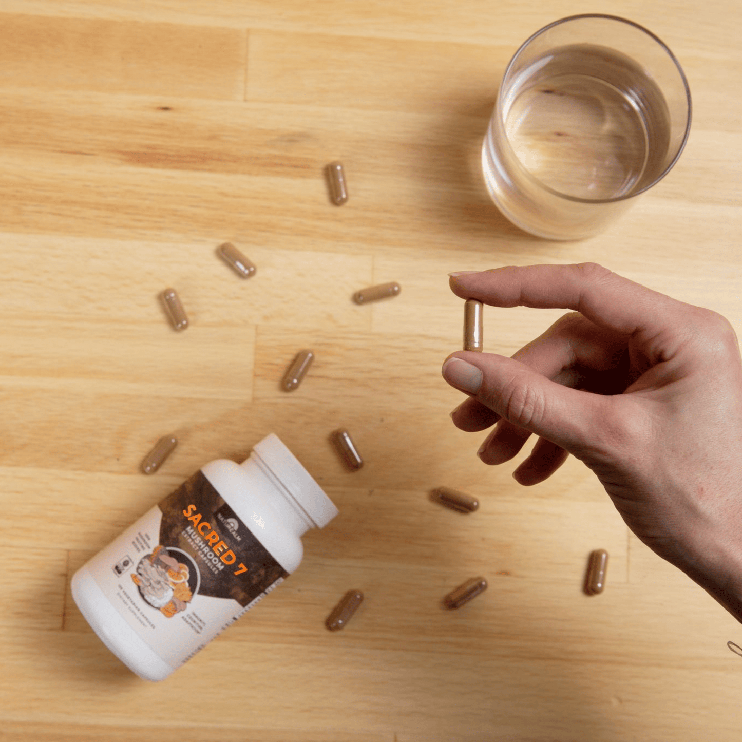 Sacred 7 Mushroom Extract Capsules
