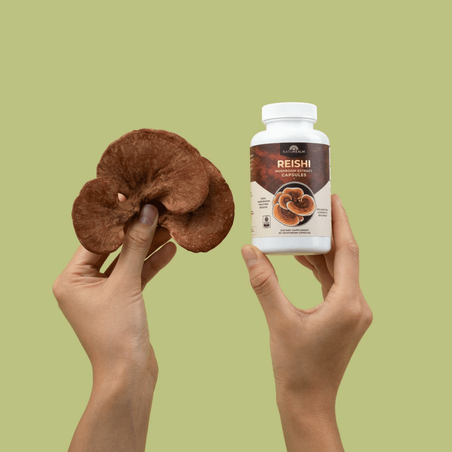 Reishi Mushroom Extract Capsules