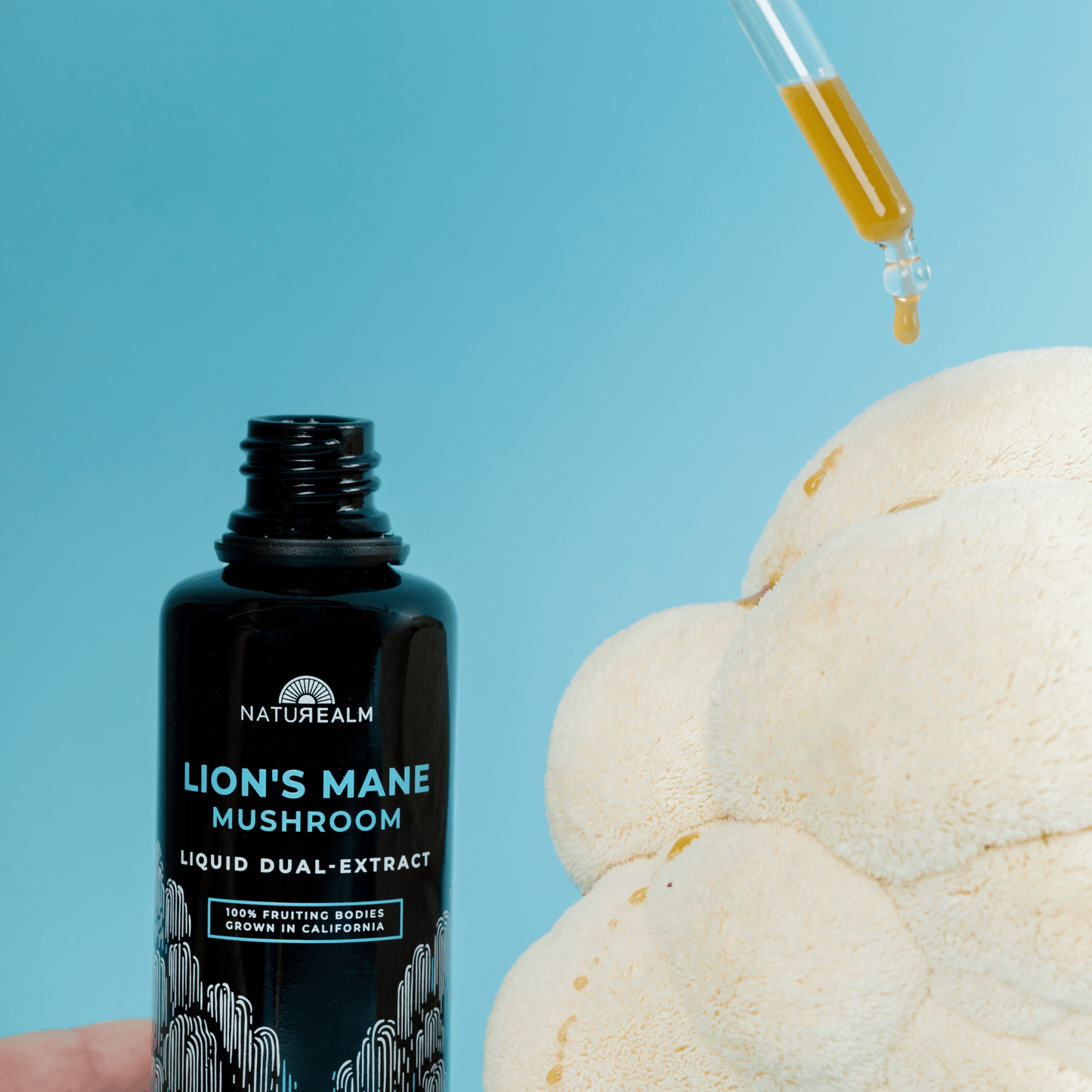 Lion's Mane Mushroom Liquid Dual-Extract
